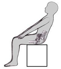 the back pain tailbone in women